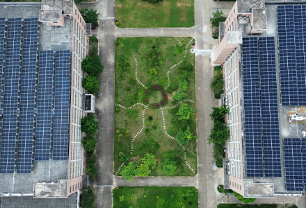 A Shared, Sustainable Future