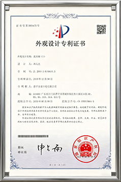 Patent Certificate for the Design of Laundry Balls